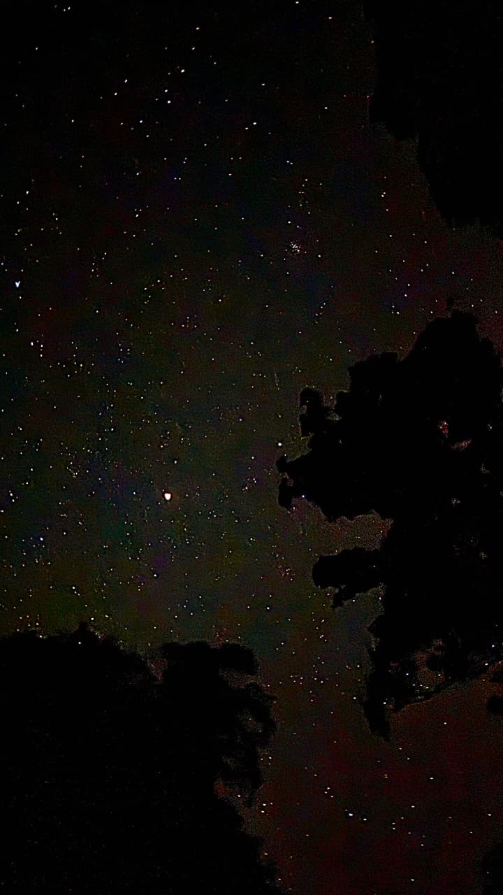 Vertical night sky full of stars framed by black canopy edges