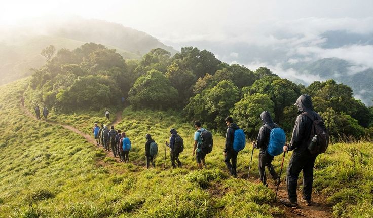 A trekking group walking single file along a ridge in mist