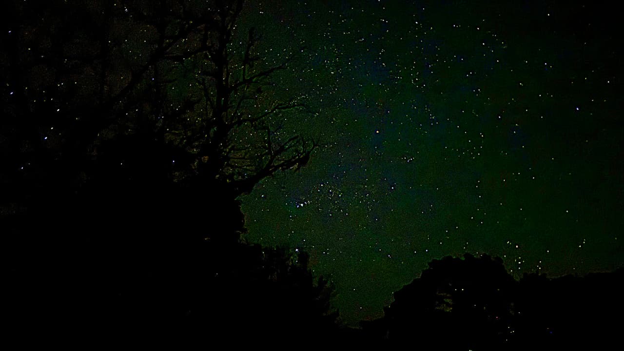 Dense starfield above the silhouette of a large tree and ridge line, no moon